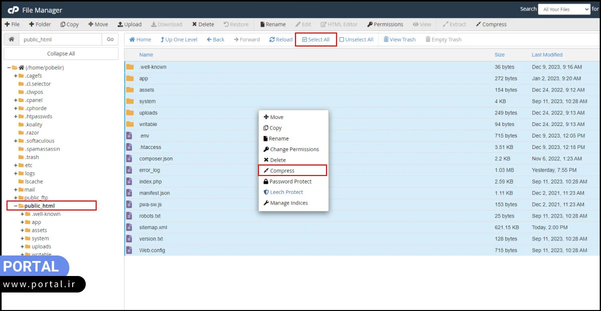 دریافت بکاپ از هاست سی پنل وردپرس