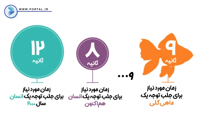 دامنه توجه انسان